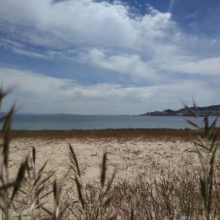 Marina's Coastal *